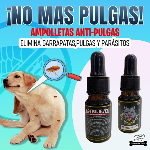 Pipeta anti pulgas